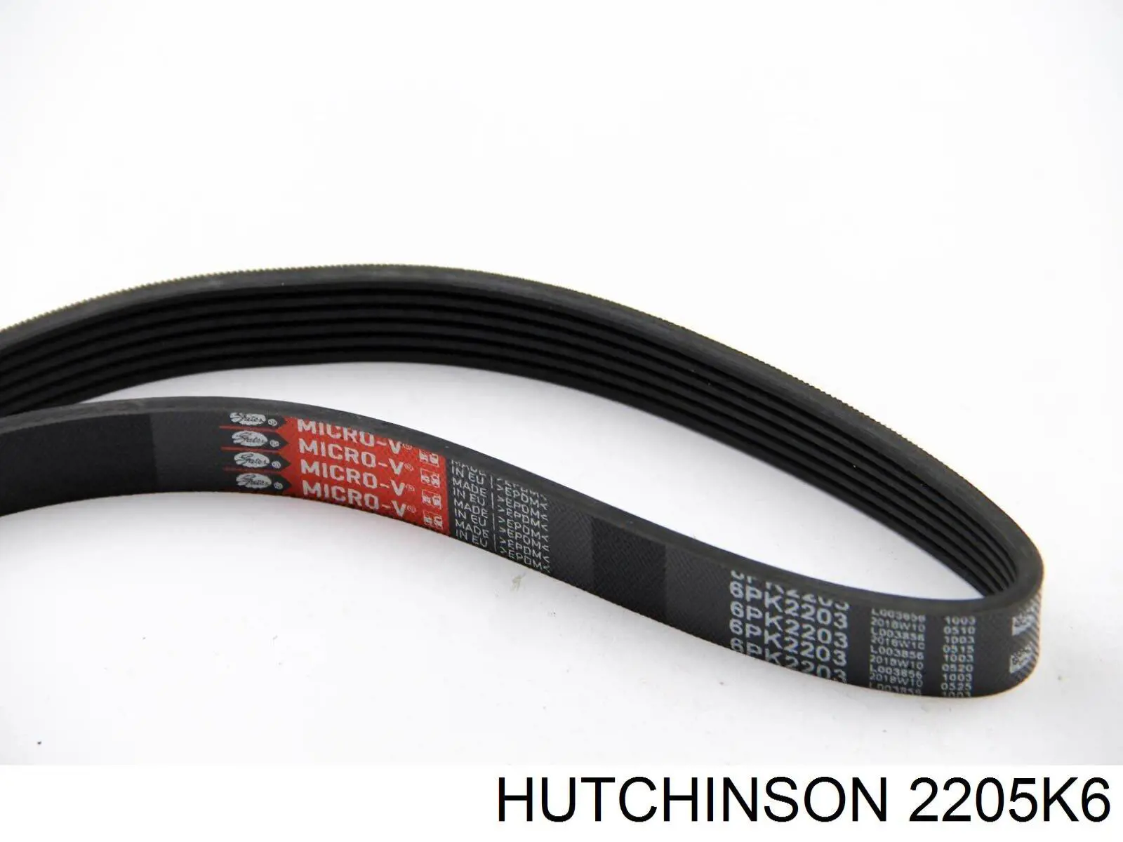 2205K6 Hutchinson Correa poly v