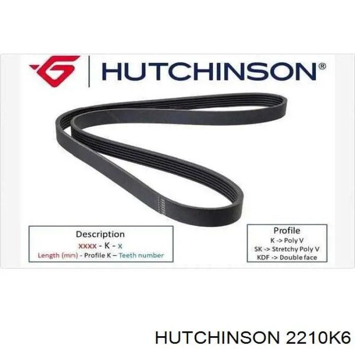 2210K6 Hutchinson correa trapezoidal