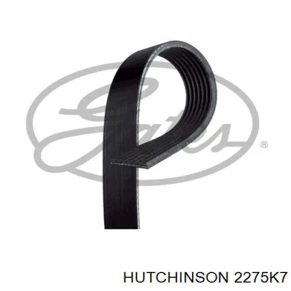 2275K7 Hutchinson correa trapezoidal