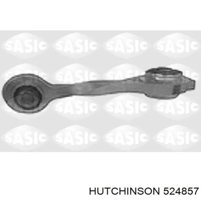 524857 Hutchinson soporte de motor trasero
