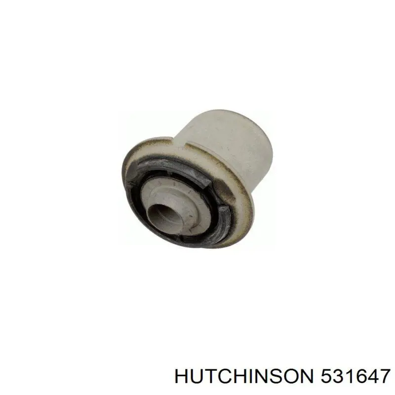 531647 Hutchinson suspensión, cuerpo del eje trasero