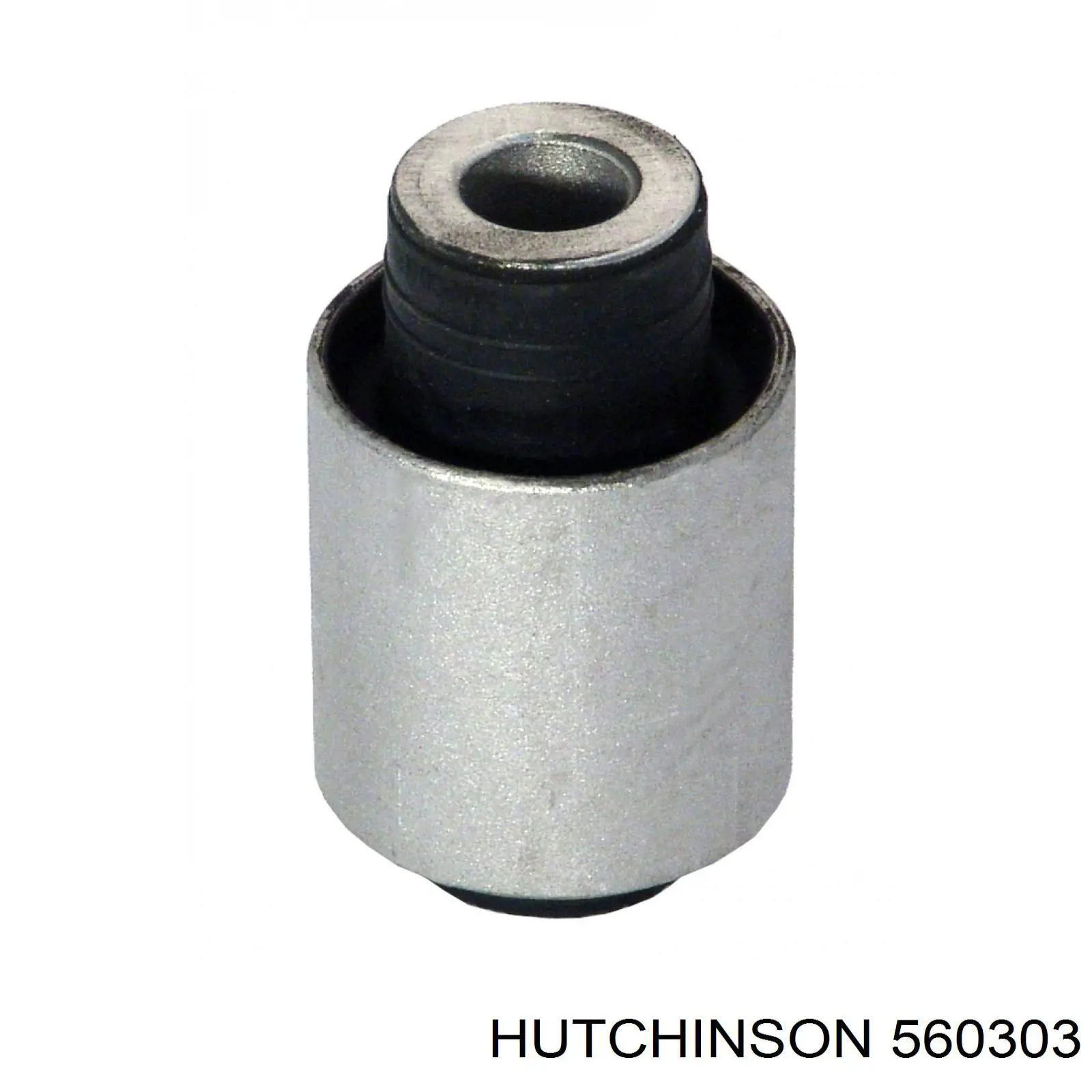 560303 Hutchinson silentblock de brazo de suspensión trasero superior