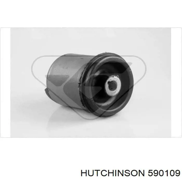 590109 Hutchinson suspensión, cuerpo del eje trasero