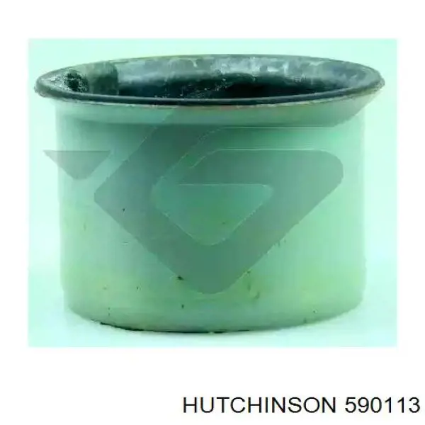 silentblock del eje trasero Hutchinson 590113