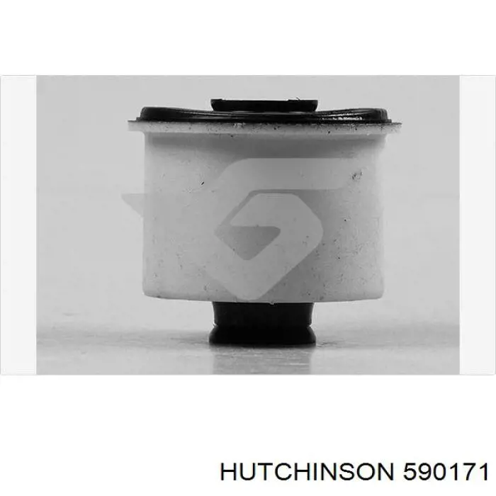 590171 Hutchinson suspensión, cuerpo del eje trasero
