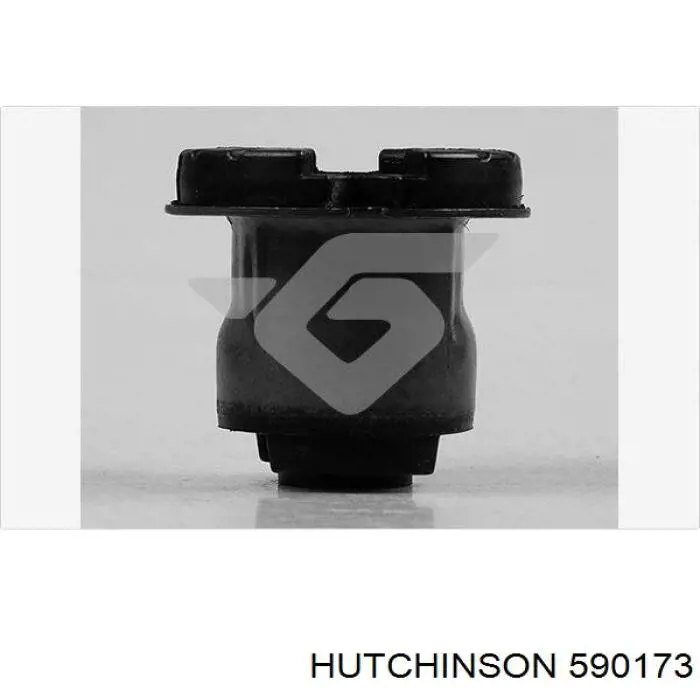 590173 Hutchinson suspensión, cuerpo del eje trasero