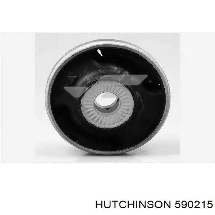 Buje de mangueta trasera 590215 Hutchinson