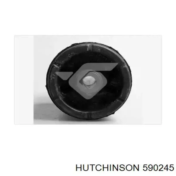 590245 Hutchinson suspensión, cuerpo del eje trasero