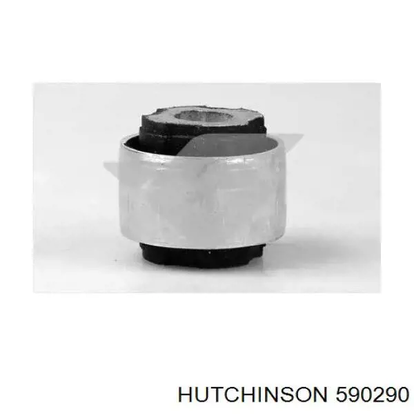 Buje del brazo longitudinal inferior trasero Hutchinson 590290