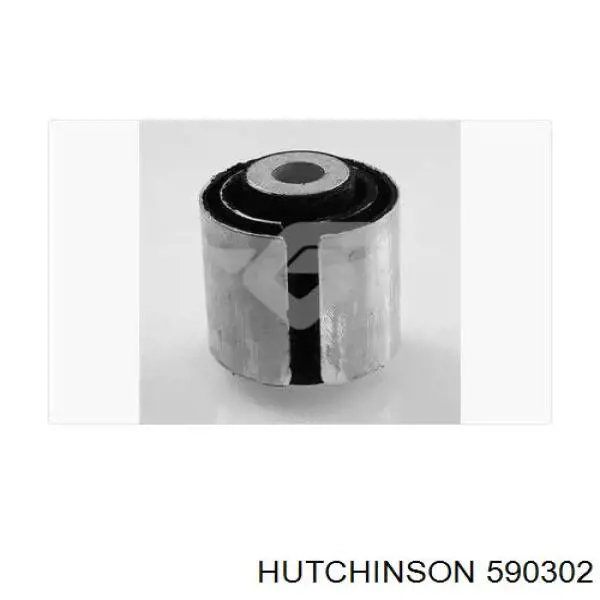 590302 Hutchinson suspensión, cuerpo del eje trasero