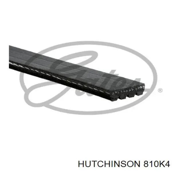 810K4 Hutchinson correa trapezoidal