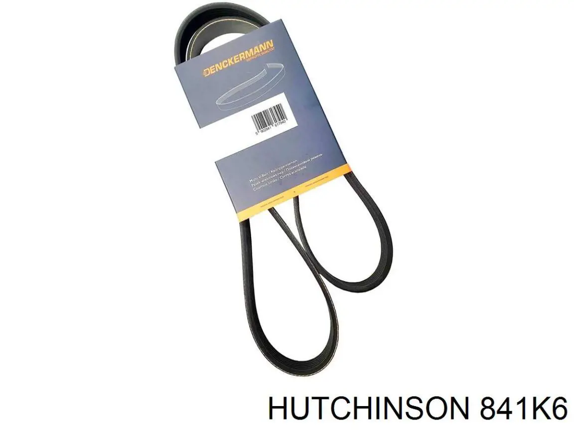 841K6 Hutchinson Correa poly v