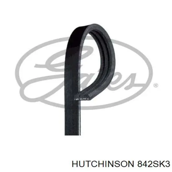 Correa de alternador 1607581880 Peugeot/Citroen