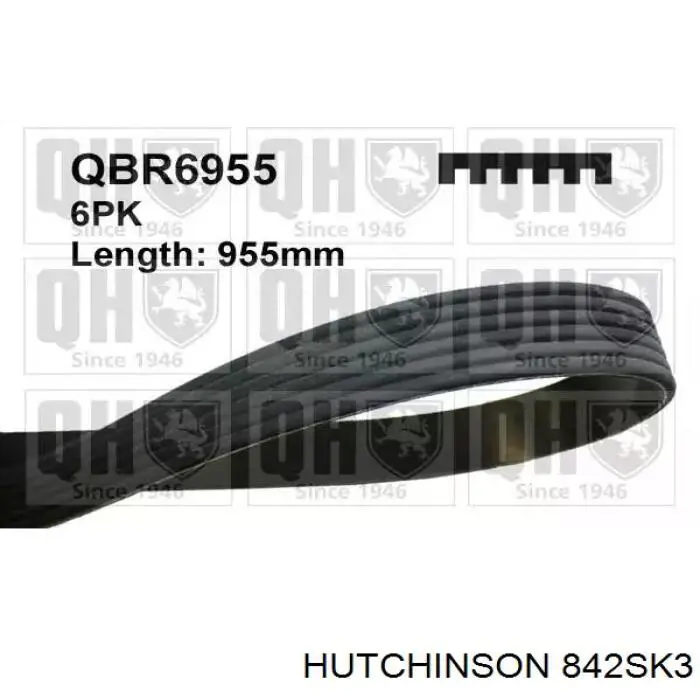 Correa accesorios Peugeot/Citroen 1607581880