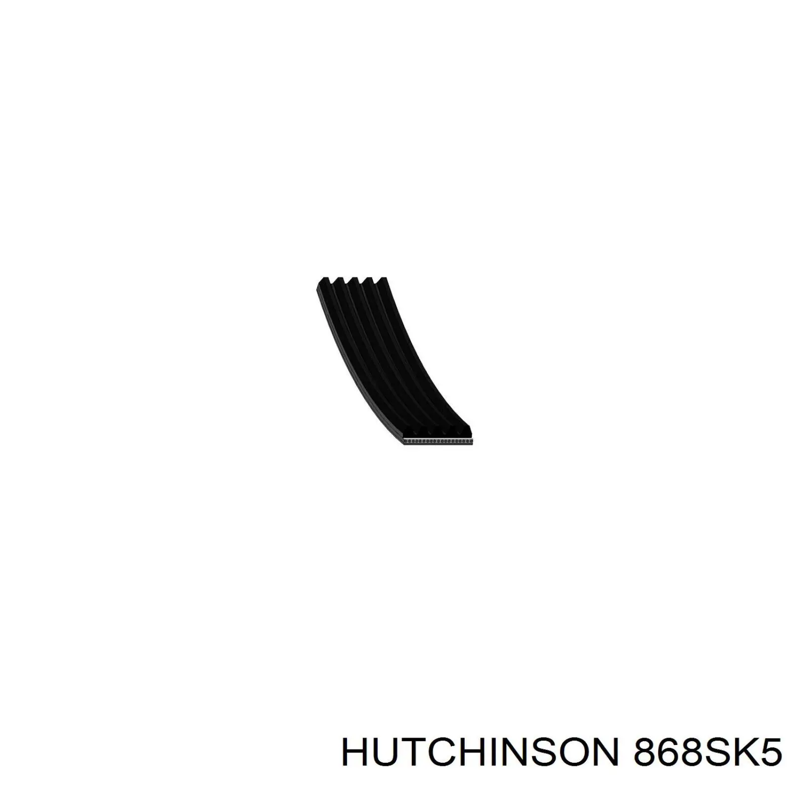 868SK5 Hutchinson correa trapezoidal