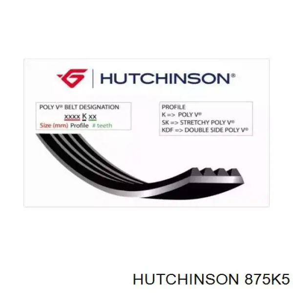 Correa de transmisión trapezoidal Hutchinson 875K5 precio, desde 7,94 EUR
