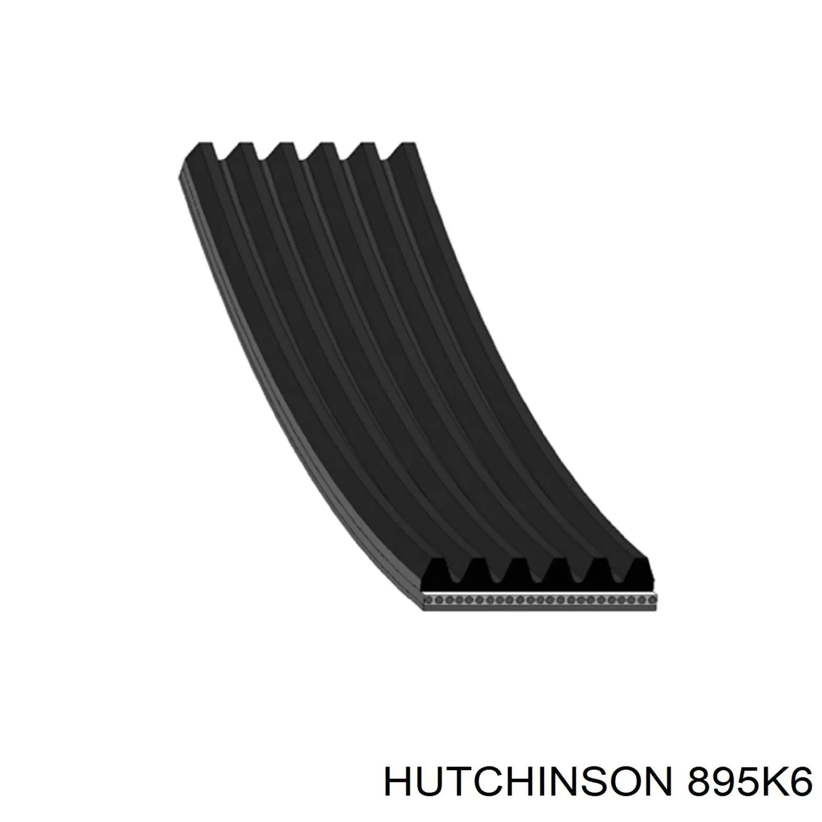 895K6 Hutchinson Correa poly v