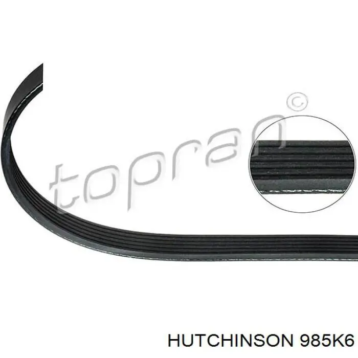 985K6 Hutchinson correa trapezoidal