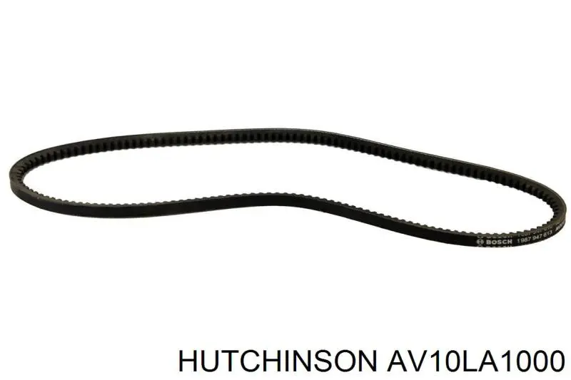 AV10LA1000 Hutchinson correa trapezoidal