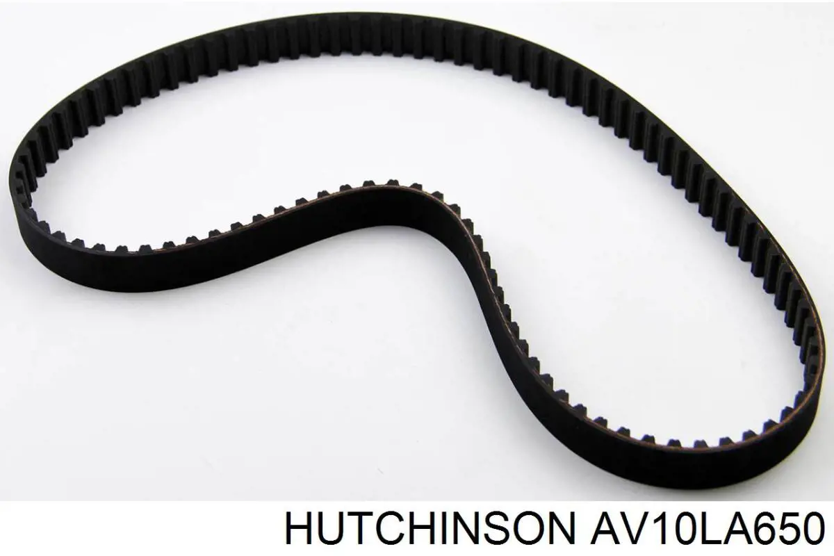 Correa trapezoidal Citroen C15 VD