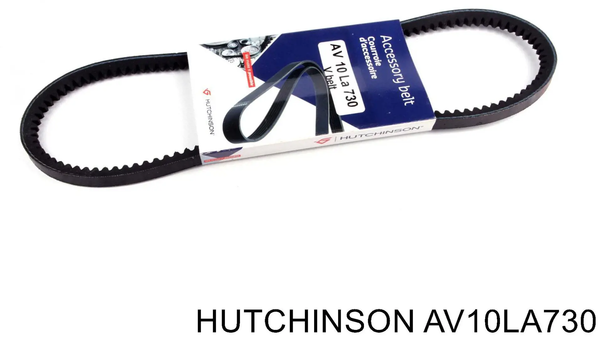 AV10LA730 Hutchinson correa trapezoidal