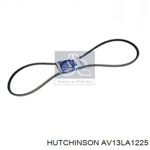 AV 13 La 1225 Hutchinson correa trapezoidal