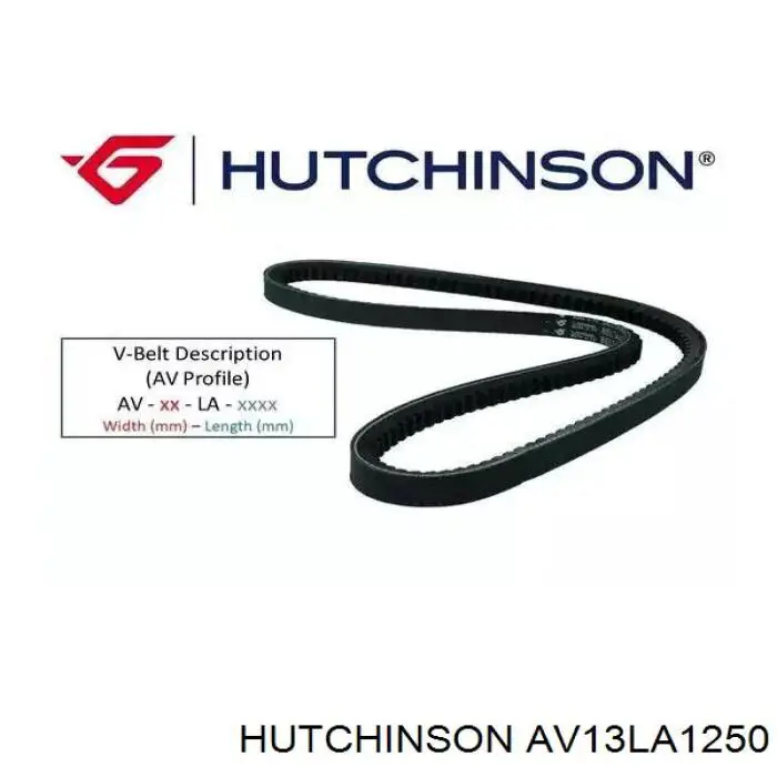 AV13LA1250 Hutchinson correa trapezoidal