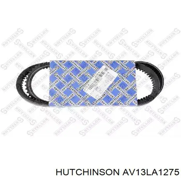 AV13LA1275 Hutchinson correa trapezoidal