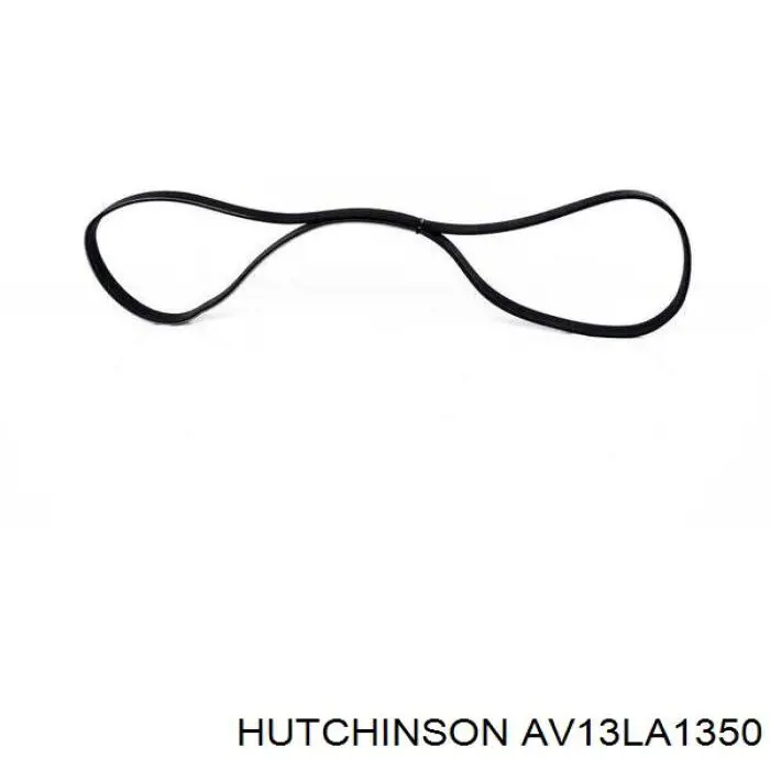 AV13LA1350 Hutchinson correa trapezoidal