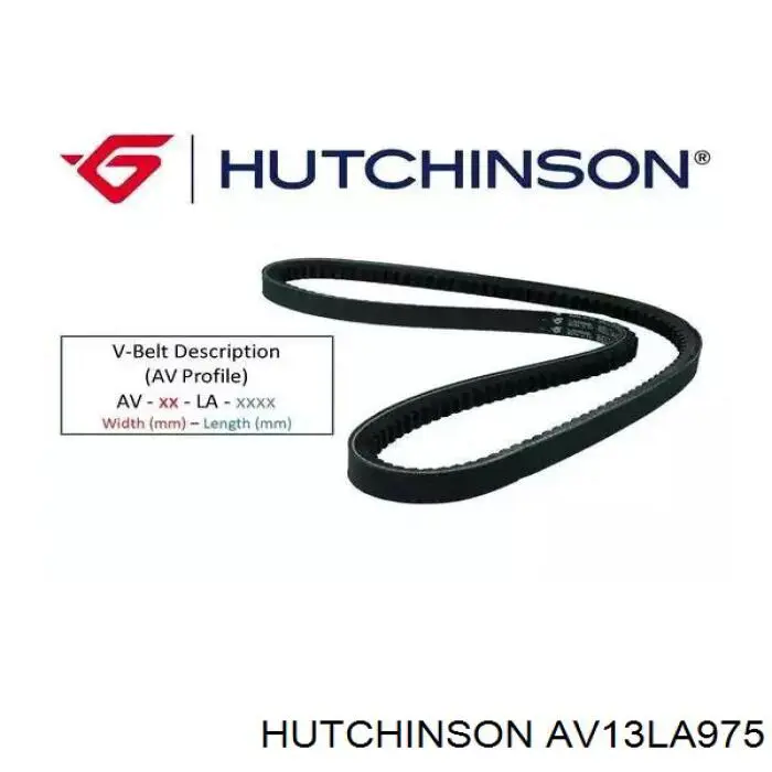 AV13LA975 Hutchinson Correa poly v