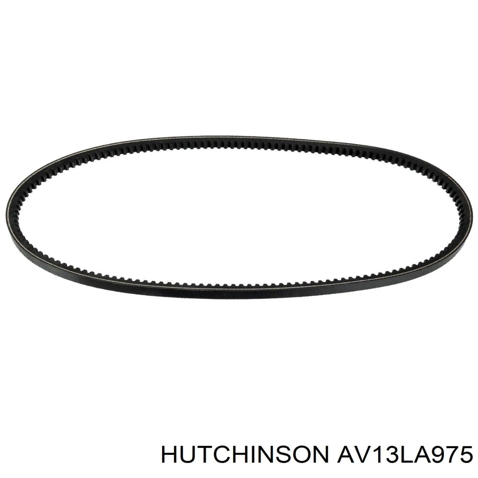 Correa de transmisión trapezoidal Hutchinson AV13LA975 precio, desde 12,46 EUR