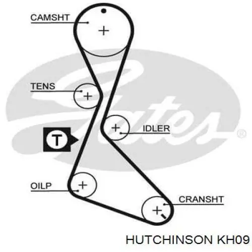 Kit correa de distribución Renault 21 S48