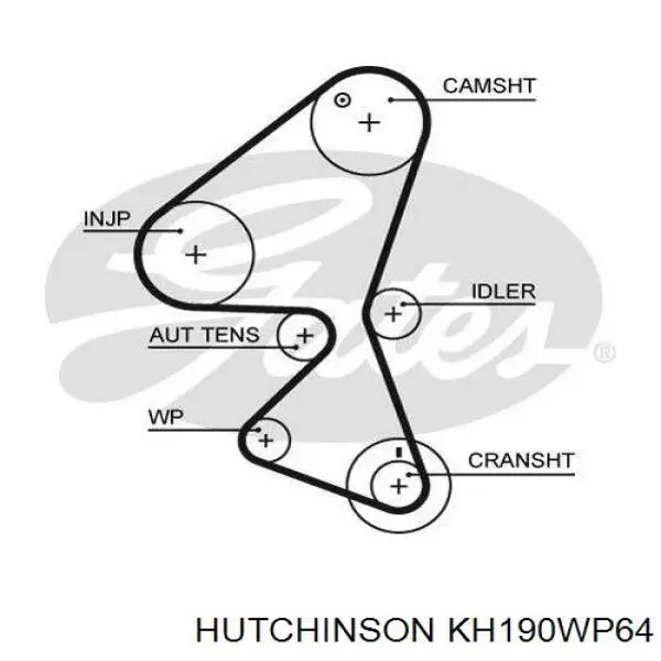 Kit correa de distribución Peugeot Partner 1 5F
