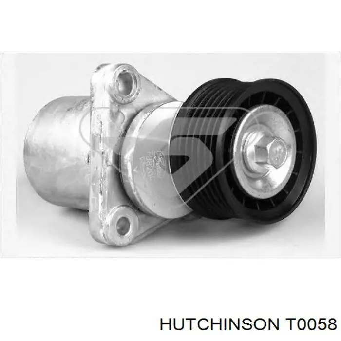 Tensor de la correa trapecial poli v Hutchinson T0058
