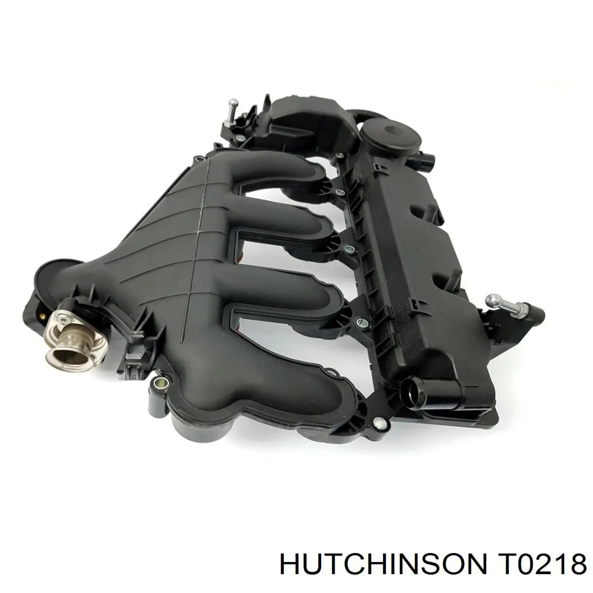 Tensor de correa poli V T0218 Hutchinson