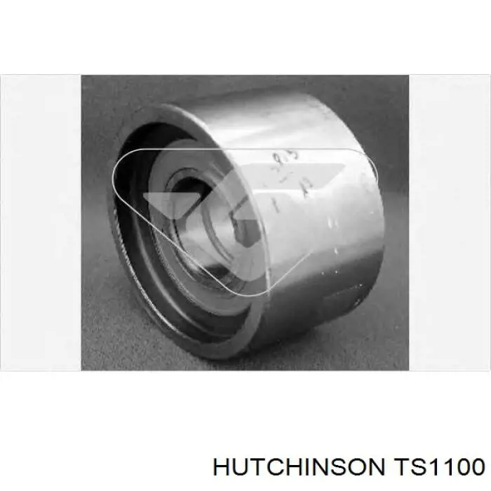 TS1100 Hutchinson