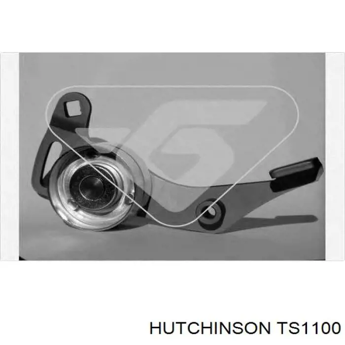 TS1100 Hutchinson
