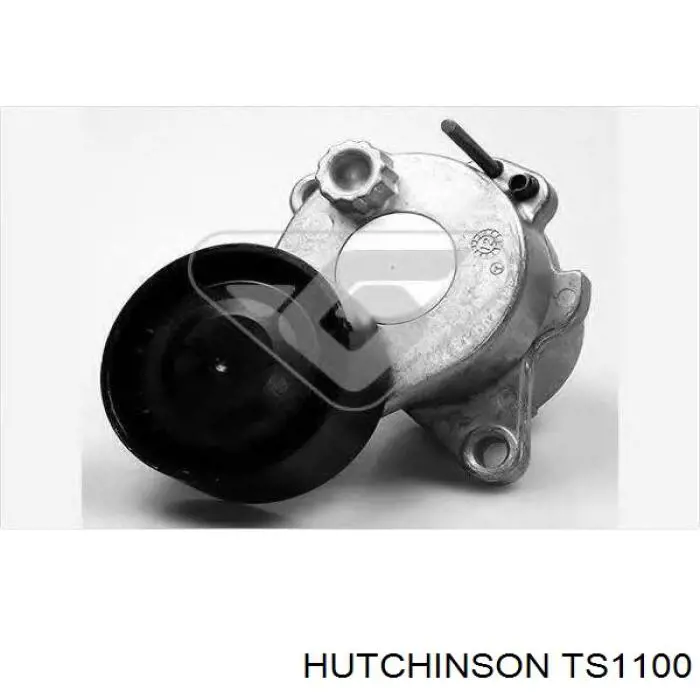 TS1100 Hutchinson