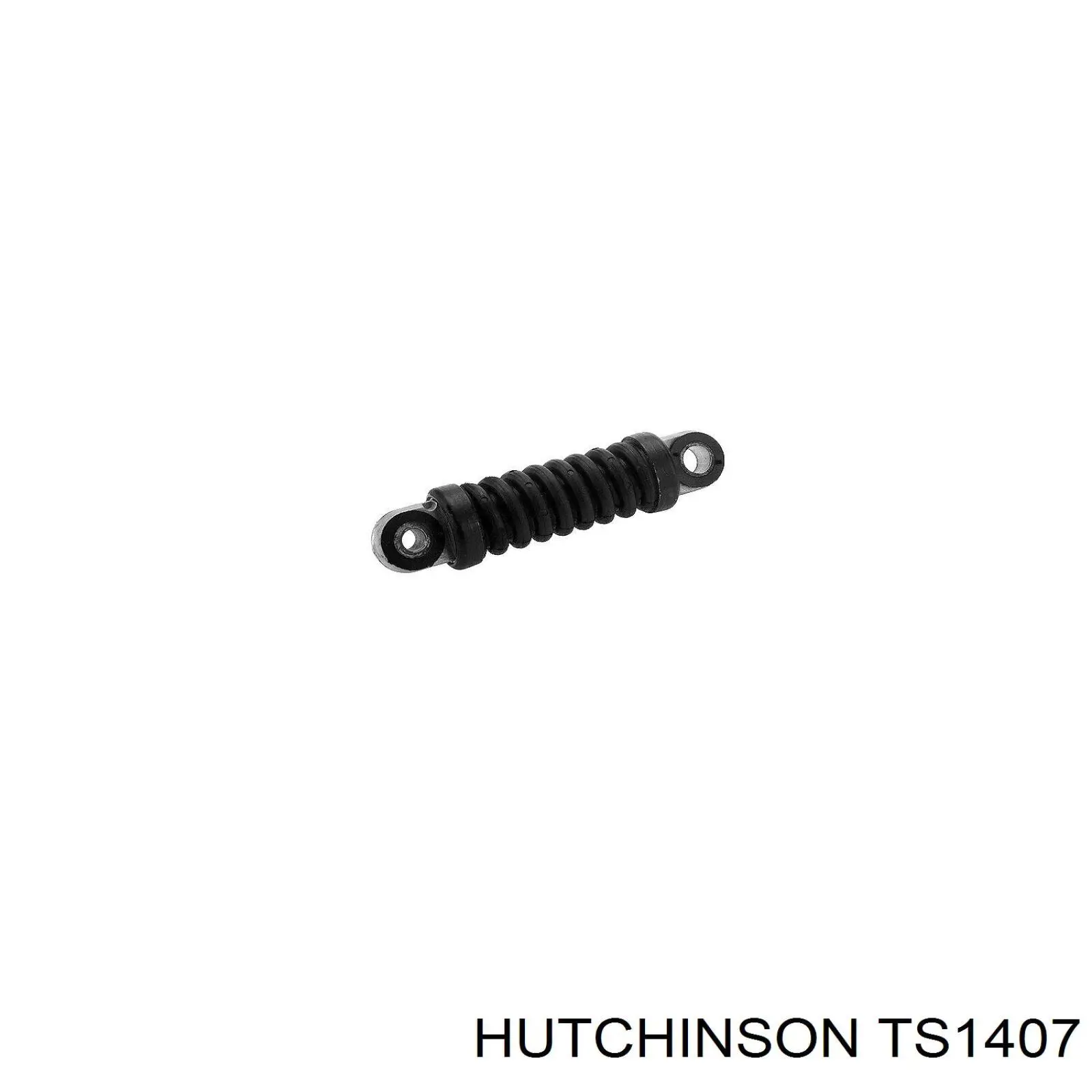 TS1407 Hutchinson tensor de correa, correa poli v