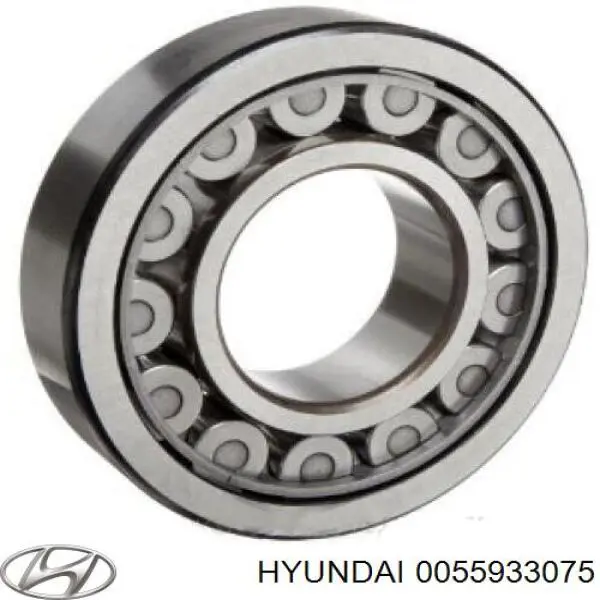0055933075 Hyundai/Kia Rodamientos de rueda delantero