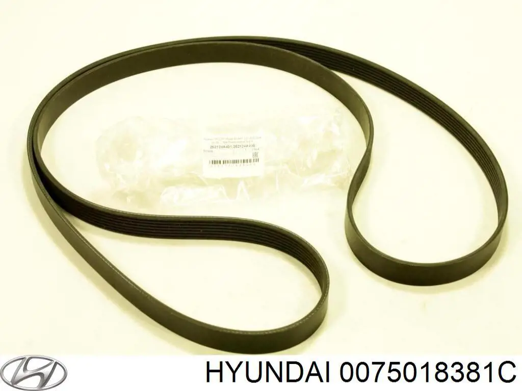 0075018381C Hyundai/Kia correa trapezoidal