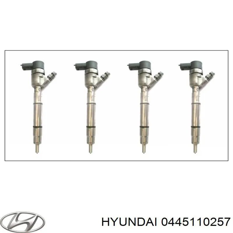 0445110257 Hyundai/Kia inyector