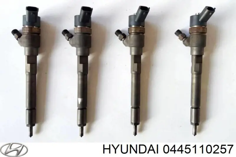 Comprar 0445110257 Hyundai/Kia Inyector