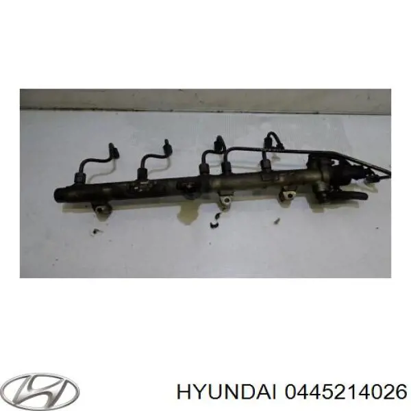 Comprar 0445214026 Hyundai/Kia Rampa de combustible