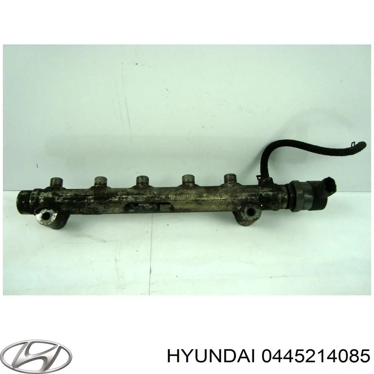0445214085 Hyundai/Kia Rampa de combustible