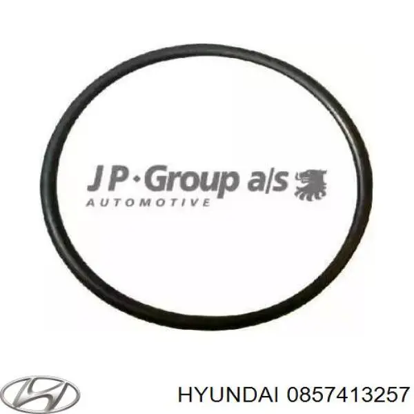 0857413257 Hyundai/Kia junta de inyectores