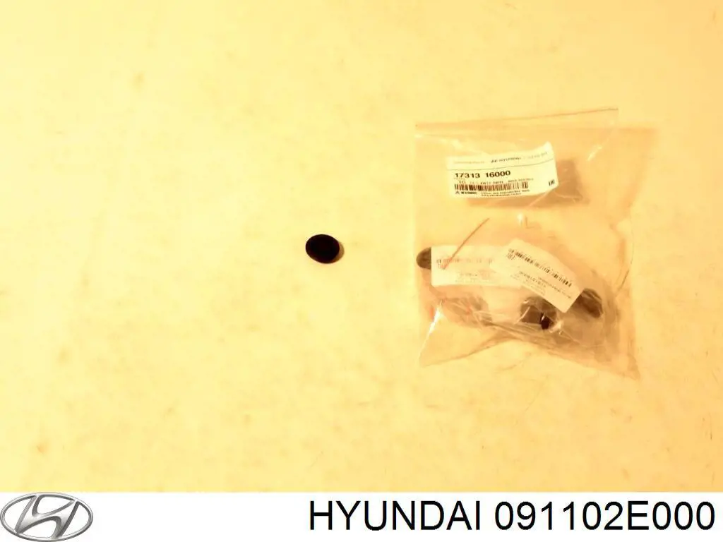 091102E000 Hyundai/Kia gato