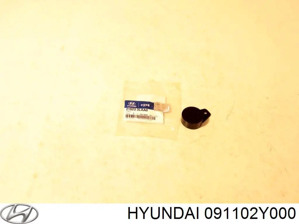 091102Y000 Hyundai/Kia