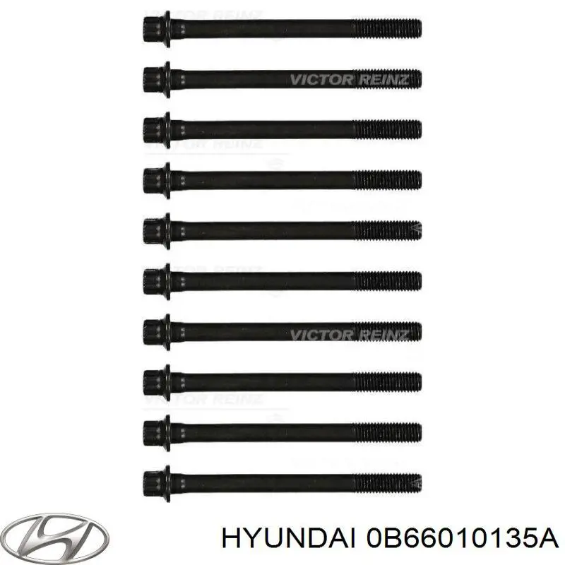 0B66010135A Hyundai/Kia