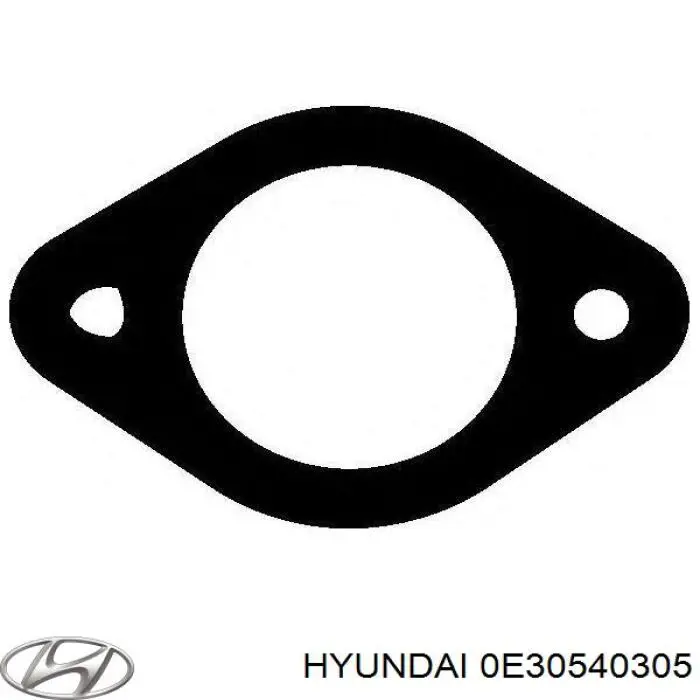 0E30540305 Hyundai/Kia junta, tubo de escape silenciador